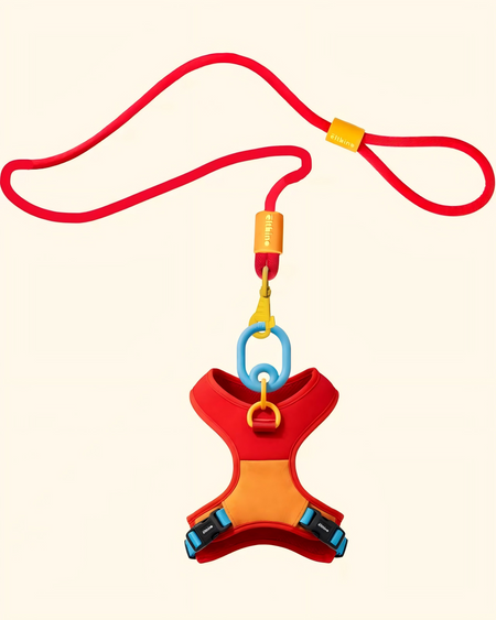 Dopamine Harness and Leash