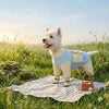 All-in-One Summer Dog Shield UPF 50+ Sun Protection & Bug-Proof Full Body Cooling Suit