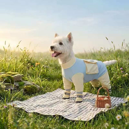 All-in-One Summer Dog Shield UPF 50+ Sun Protection & Bug-Proof Full Body Cooling Suit