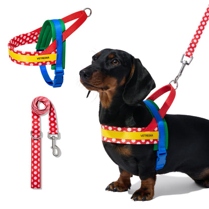 Chroma Pet Harness & Leash Set