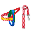 Chroma Pet Harness & Leash Set