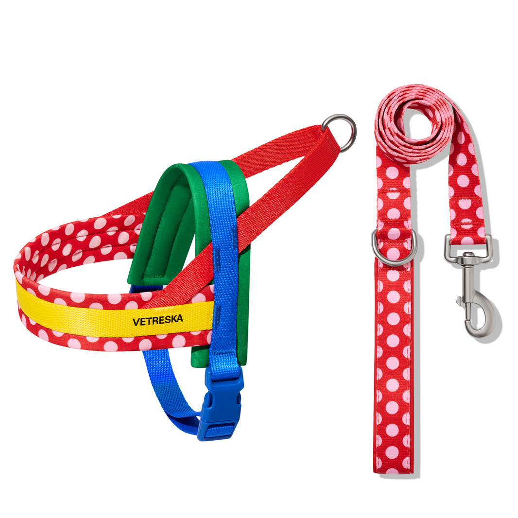 Chroma Pet Harness & Leash Set
