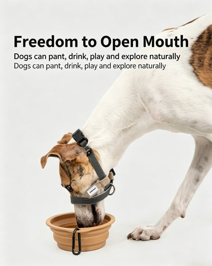 Valley Series No-Pull Training Muzzle Loop