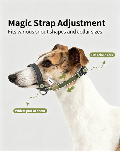 Valley Series No-Pull Training Muzzle Loop