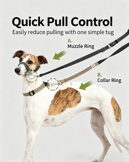 Valley Series No-Pull Training Muzzle Loop