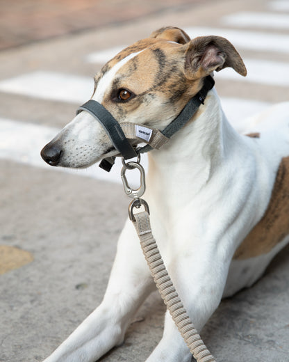 Valley Series No-Pull Training Muzzle Loop