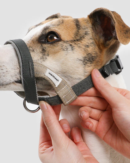 Valley Series No-Pull Training Muzzle Loop
