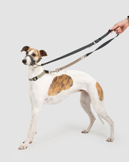 Valley Series No-Pull Training Muzzle Loop