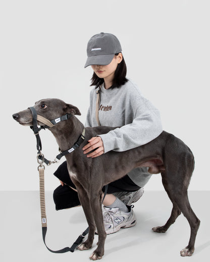 Valley Series No-Pull Training Dog Headcollar