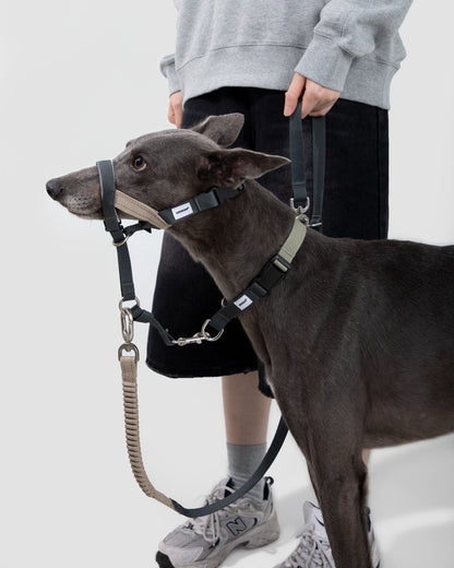 Valley Series No-Pull Training Dog Headcollar