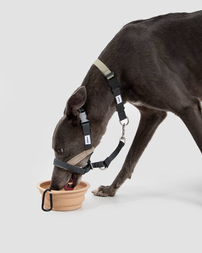 Valley Series No-Pull Training Dog Headcollar