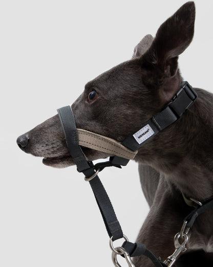 Valley Series No-Pull Training Dog Headcollar