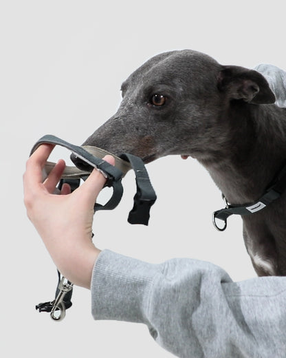 Valley Series No-Pull Training Dog Headcollar