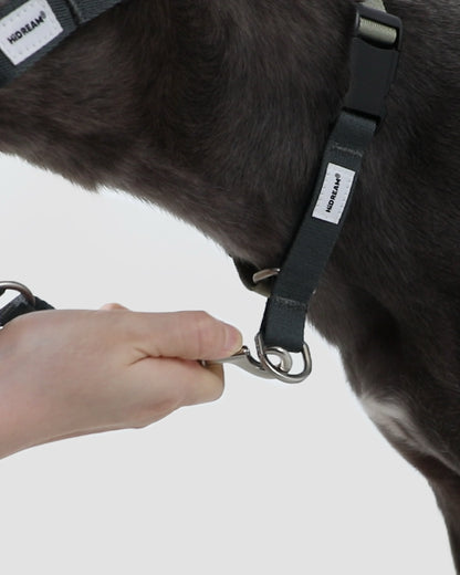 Valley Series No-Pull Training Dog Headcollar