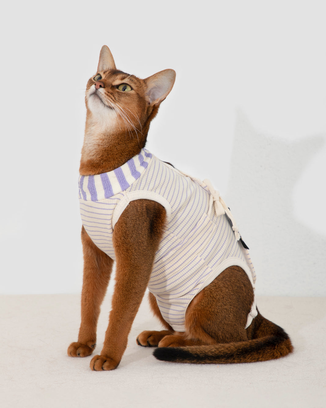 Anti-Escape Cat Recovery Suit