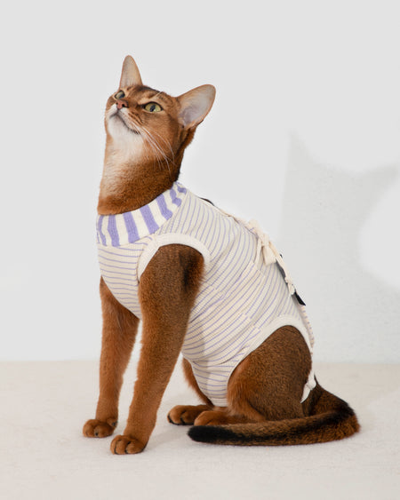 Anti-Escape Cat Recovery Suit