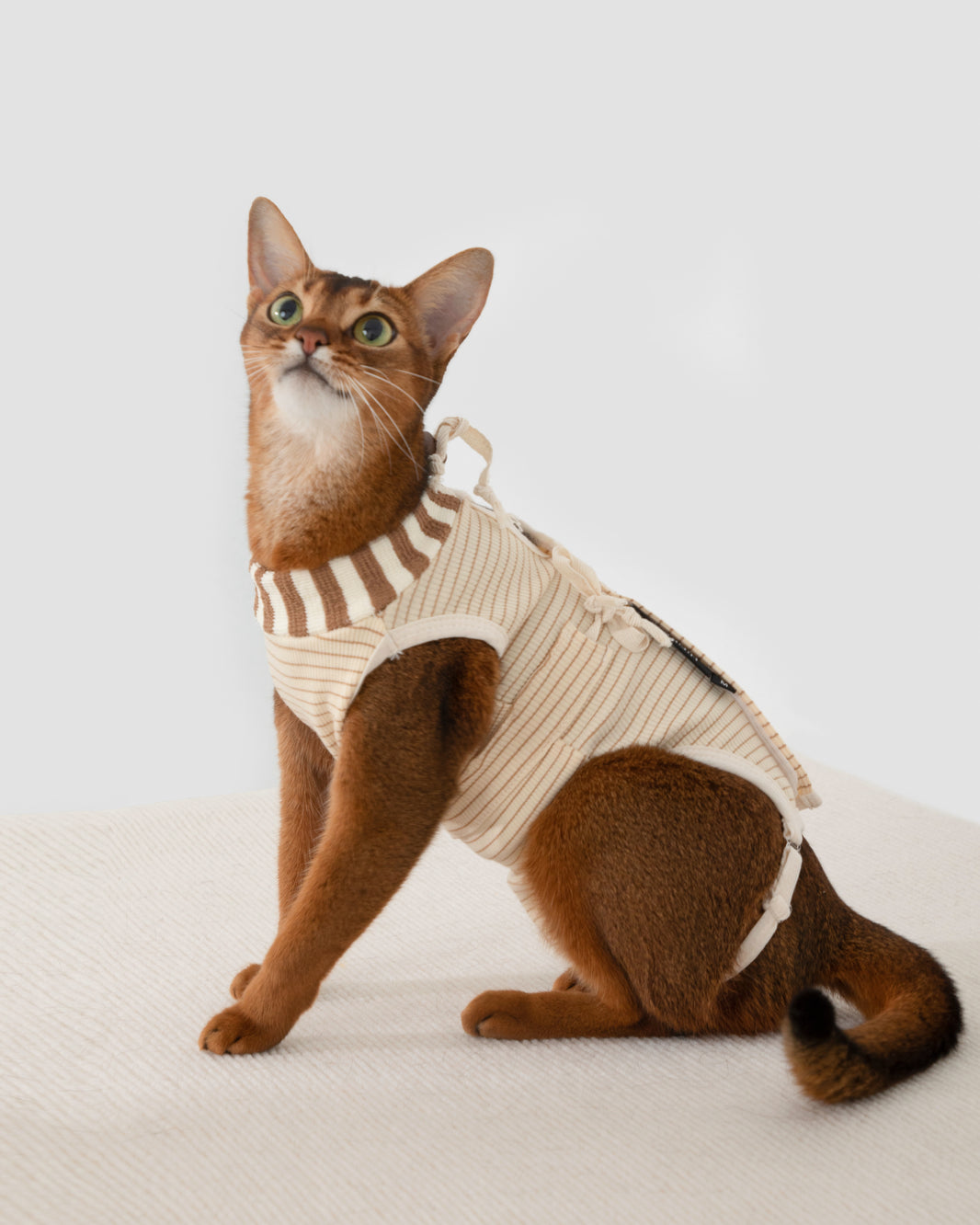Anti-Escape Cat Recovery Suit
