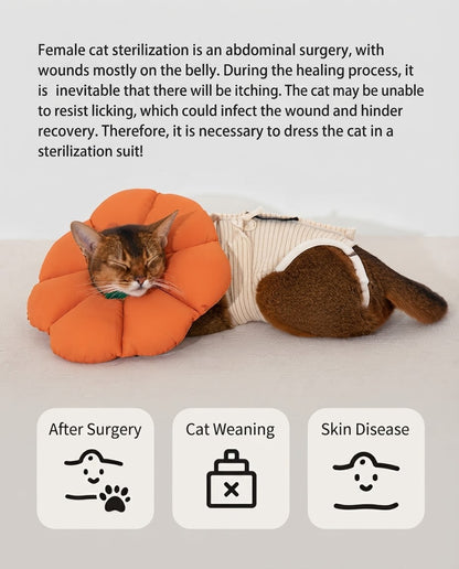 Anti-Escape Cat Recovery Suit