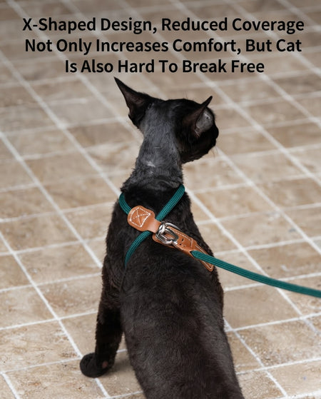 Active Traverse Cat Harness & Leash Set