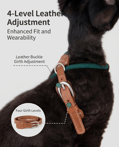 Active Traverse Cat Harness & Leash Set