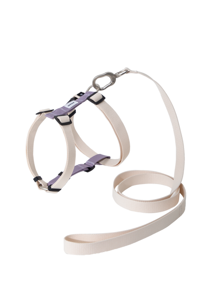 Valley Series Dog H-Harness and Leash Set