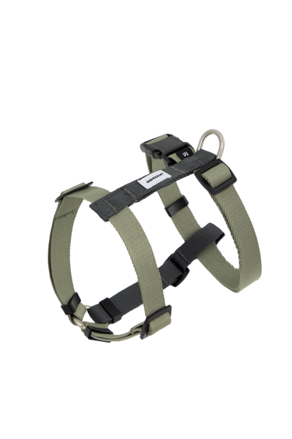 Valley Series Dog H-Harness and Leash Set