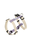 Valley Series Dog H-Harness and Leash Set