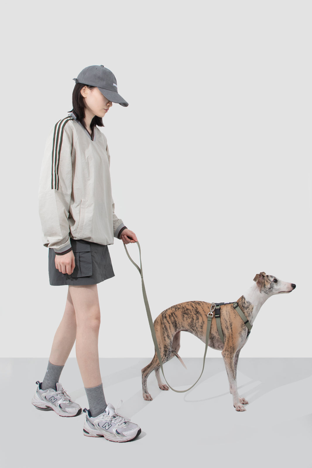 Valley Series Dog H-Harness and Leash Set