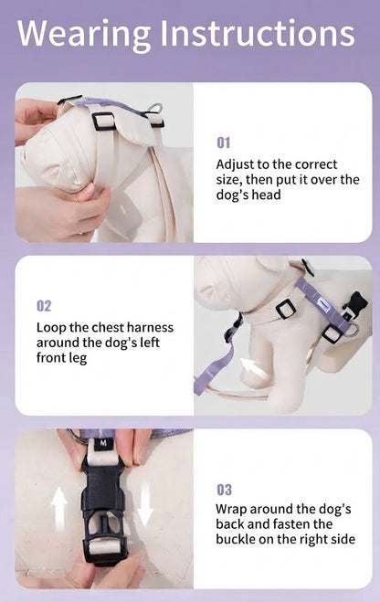 Valley Series Dog H-Harness and Leash Set