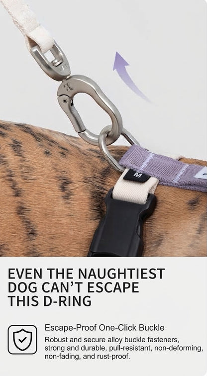 Valley Series Dog H-Harness and Leash Set