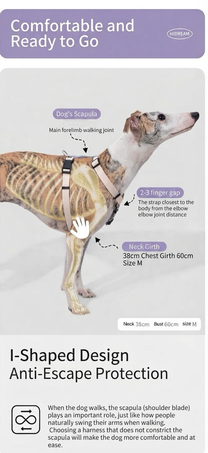 Valley Series Dog H-Harness and Leash Set