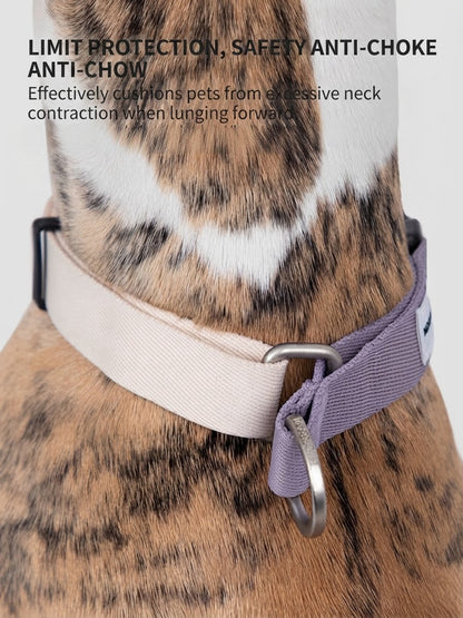 Valley Series Dog Martingale Training Collar