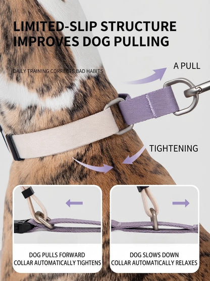 Valley Series Dog Martingale Training Collar
