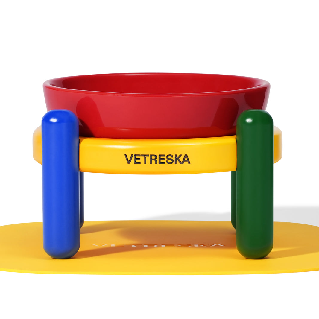 Chroma Ceramic Pet Bowl & Mat Set