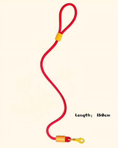 Dopamine Harness and Leash