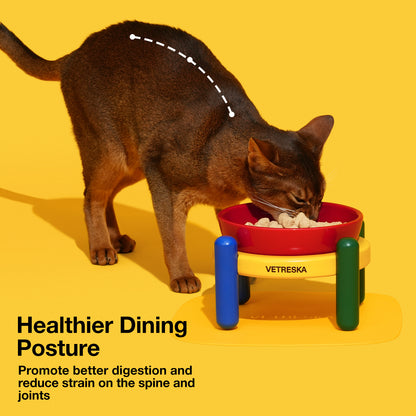 Chroma Ceramic Pet Bowl & Mat Set