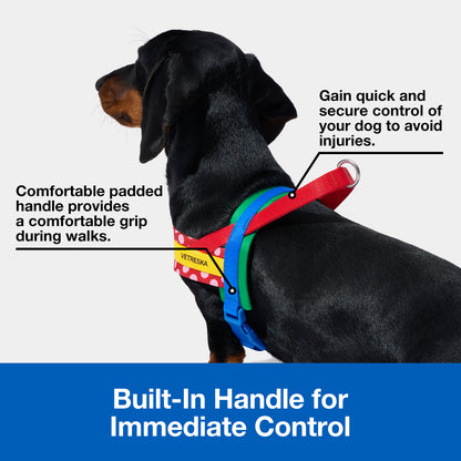 Chroma Pet Harness & Leash Set