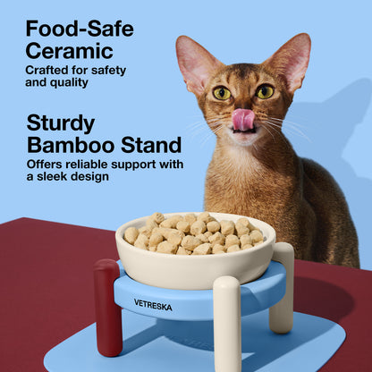 Mist & Merlot Pet Bowl & Mat Set