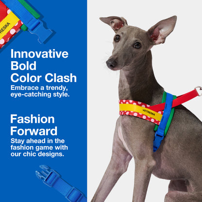 Chroma Pet Harness & Leash Set