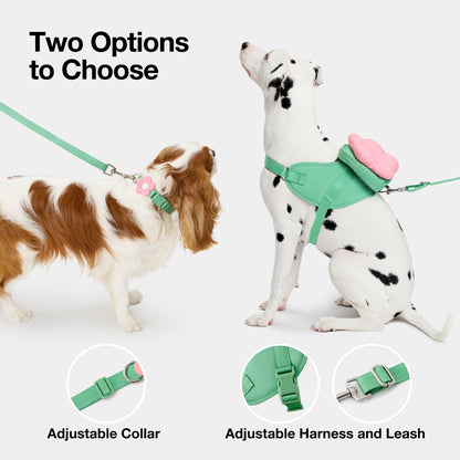 Flora Pet Backpack, Harness & Leash 3 In 1 Set