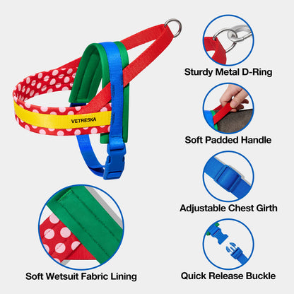 Chroma Pet Harness & Leash Set