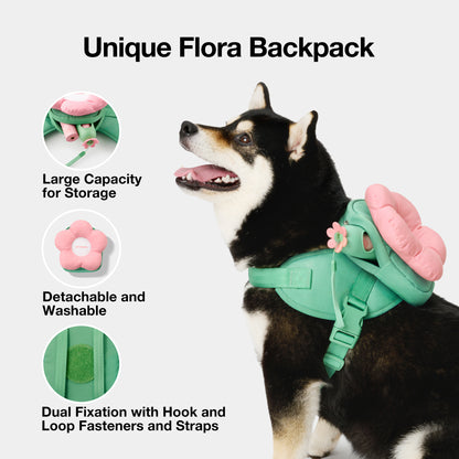Flora Pet Backpack, Harness & Leash 3 In 1 Set