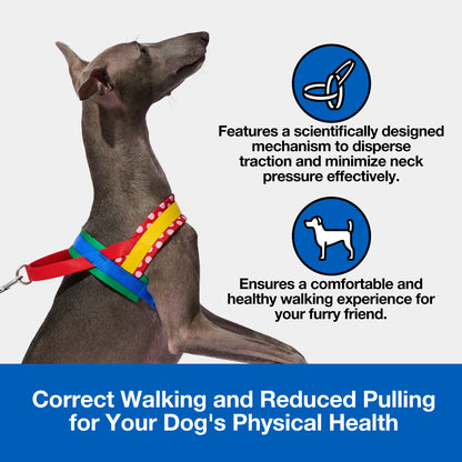 Chroma Pet Harness & Leash Set