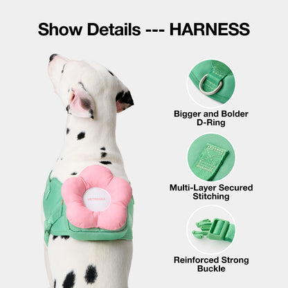 Flora Pet Backpack, Harness & Leash 3 In 1 Set