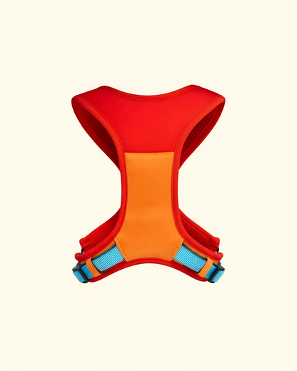 Dopamine Harness and Leash