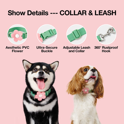 Flora Pet Backpack, Harness & Leash 3 In 1 Set