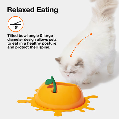 Juicy Tangerine Pet Bowl, Spoon & Mat Set