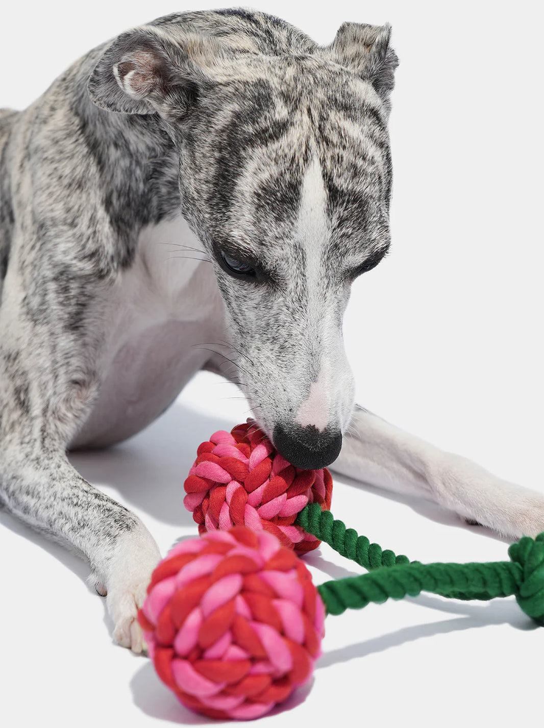 Cherry Knot Rope Toy