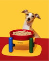 Chroma Ceramic Pet Bowl & Mat Set