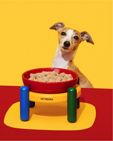 Chroma Ceramic Pet Bowl & Mat Set